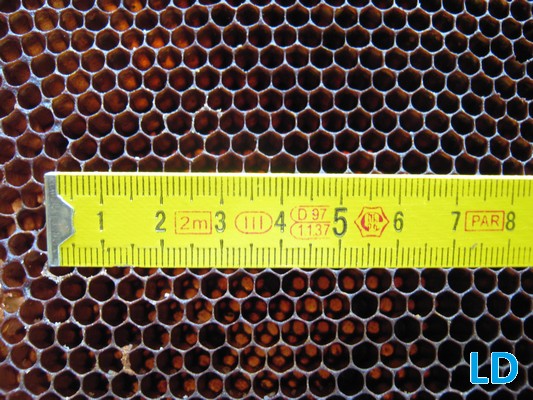 velikost buněk na přirozehném díle je často pod 5mm